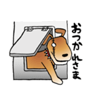 きずだらけの犬 シンバ（個別スタンプ：4）