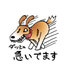 きずだらけの犬 シンバ（個別スタンプ：6）