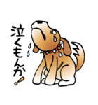 きずだらけの犬 シンバ（個別スタンプ：12）