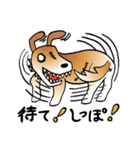 きずだらけの犬 シンバ（個別スタンプ：13）