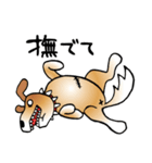 きずだらけの犬 シンバ（個別スタンプ：14）