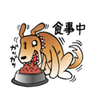 きずだらけの犬 シンバ（個別スタンプ：16）