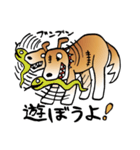 きずだらけの犬 シンバ（個別スタンプ：17）