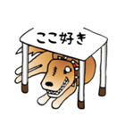 きずだらけの犬 シンバ（個別スタンプ：28）