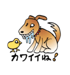 きずだらけの犬 シンバ（個別スタンプ：32）