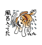 きずだらけの犬 シンバ（個別スタンプ：33）