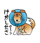 きずだらけの犬 シンバ（個別スタンプ：34）