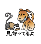 きずだらけの犬 シンバ（個別スタンプ：36）