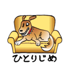 きずだらけの犬 シンバ（個別スタンプ：37）