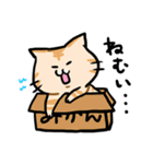 ねこになる。（個別スタンプ：19）