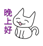 Ayumitsuki's White Cat the daily.（個別スタンプ：13）