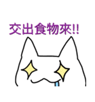 Ayumitsuki's White Cat the daily.（個別スタンプ：34）