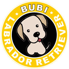 [LINEスタンプ] Labrador Bi I