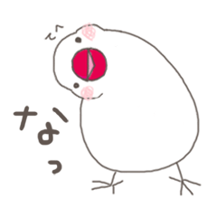 [LINEスタンプ] 関西弁の白文鳥 2の画像（メイン）