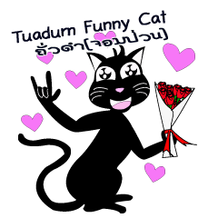 [LINEスタンプ] Tuadum Funny Cat