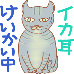 [LINEスタンプ] ねこ実話1