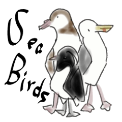[LINEスタンプ] 日本の海鳥