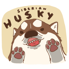 [LINEスタンプ] 1 day of Siberian Husky