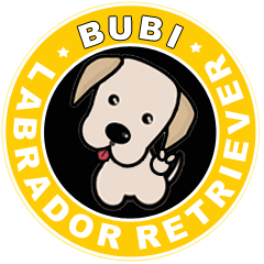 [LINEスタンプ] Labrador Bi II