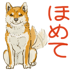 [LINEスタンプ] 6犬種の日本犬スタンプの画像（メイン）