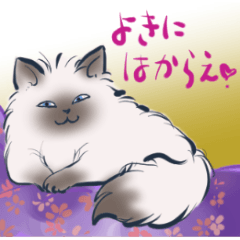 [LINEスタンプ] ネコざんまい