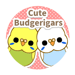 [LINEスタンプ] Cute Budgerigarsの画像（メイン）