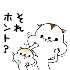 [LINEスタンプ] 白リスちゃんと白リスさん