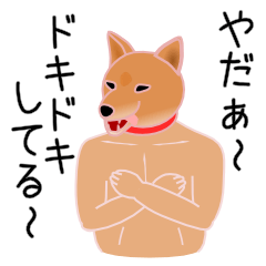 [LINEスタンプ] 柴田さんと近所の犬。の画像（メイン）