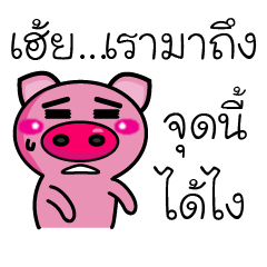 [LINEスタンプ] Pig Pig Love Love