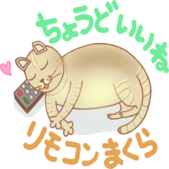 [LINEスタンプ] ねこ実話2