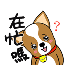 [LINEスタンプ] Chihuahua puppy