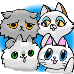 [LINEスタンプ] 毎日ねこ