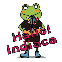 [LINEスタンプ] カエルのインディアチーム！