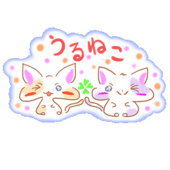 [LINEスタンプ] うるねこちゃん