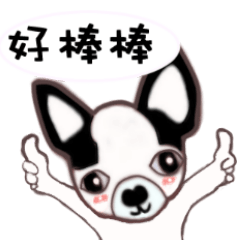 [LINEスタンプ] Dr.Feng and his daughter ChiHuaHua Bibi