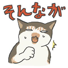 [LINEスタンプ] 富山弁をちょいちょい話す猫たち