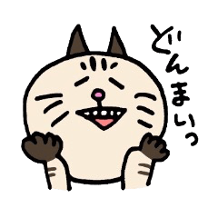 [LINEスタンプ] さとうさんちのネコ