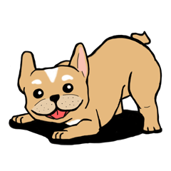 [LINEスタンプ] Somboon Happy French Bulldogの画像（メイン）