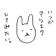 [LINEスタンプ] 日常うさ会話