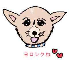 [LINEスタンプ] コーギー大好き3