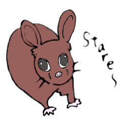 [LINEスタンプ] オーストラリアの動物