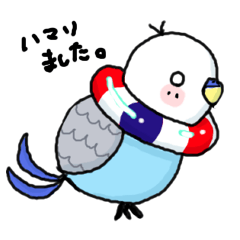 [LINEスタンプ] 使えるインコちゃん