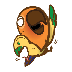 [LINEスタンプ] Taohoo : the Sun Conure