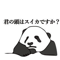 [LINEスタンプ] パンダー イン ザ ダーク
