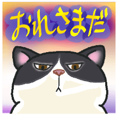 [LINEスタンプ] ねこざんまい2