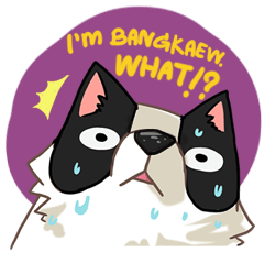 [LINEスタンプ] I'm Bangkaew.. wait WHAT！？