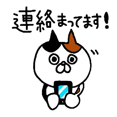 [LINEスタンプ] 連絡用ねこーず