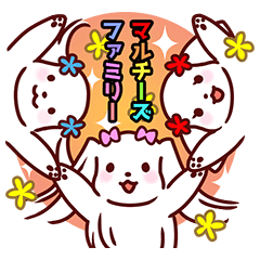 [LINEスタンプ] 日常使い☆マルチーズファミリー