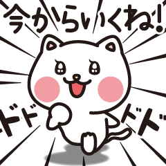 [LINEスタンプ] 仲良しねこの一日