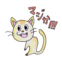 [LINEスタンプ] にゃんこ好きに送るスタンプ